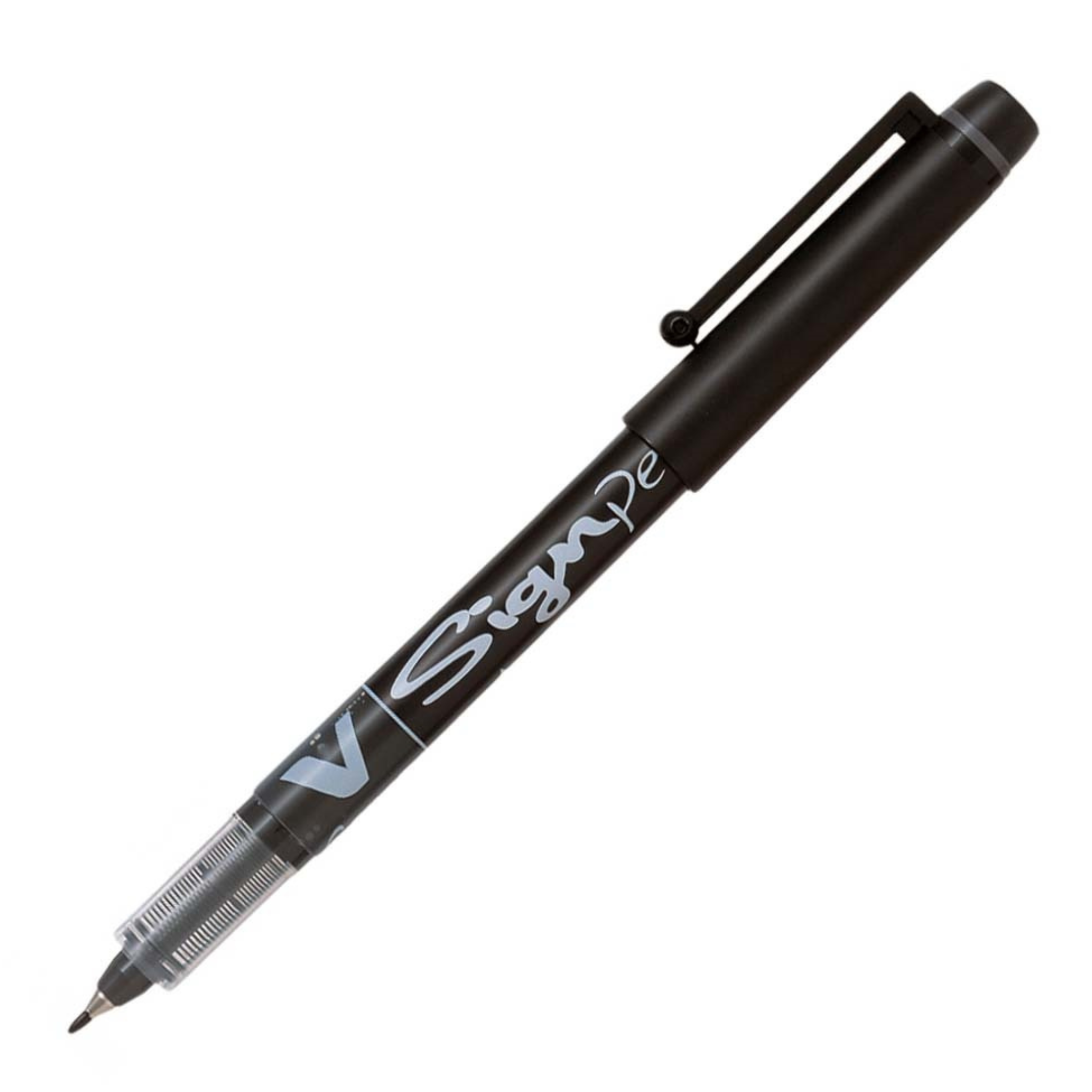 Pilot Pakistan