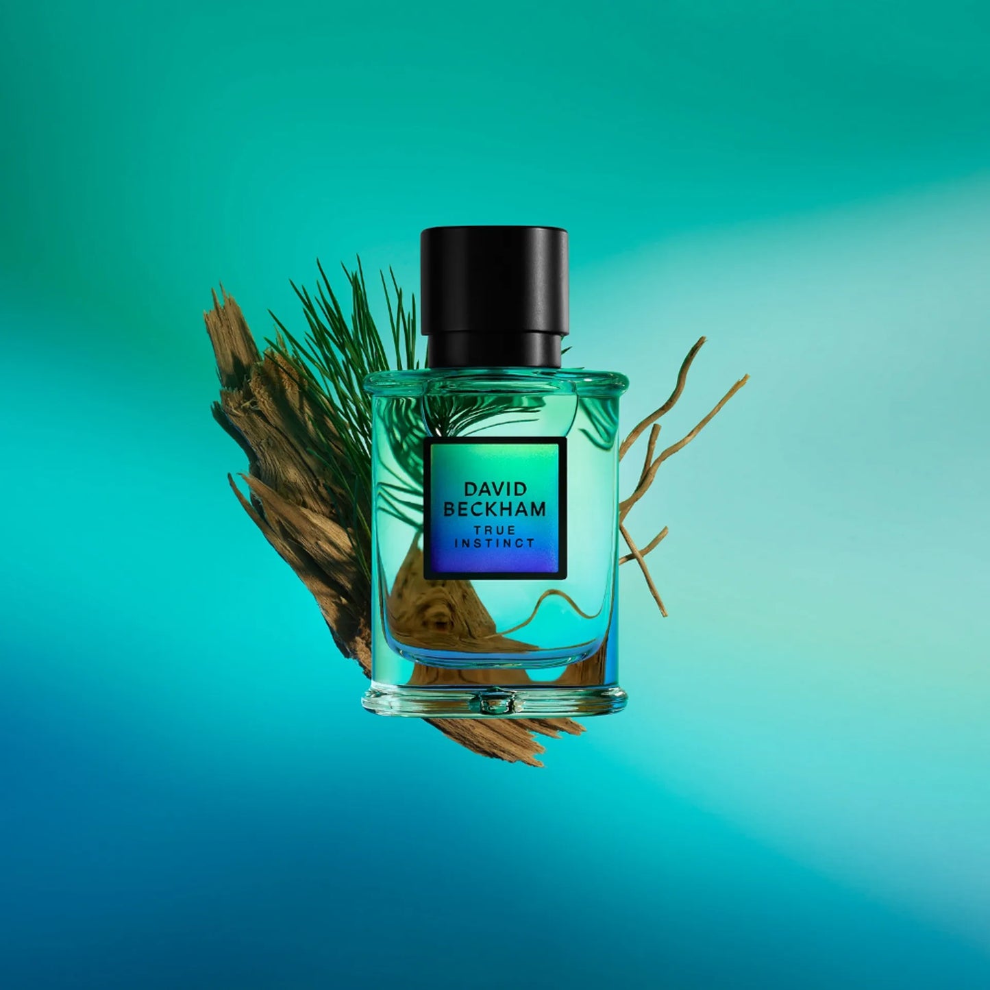 David Beckham True Instinct Eau de Parfum – 75ml