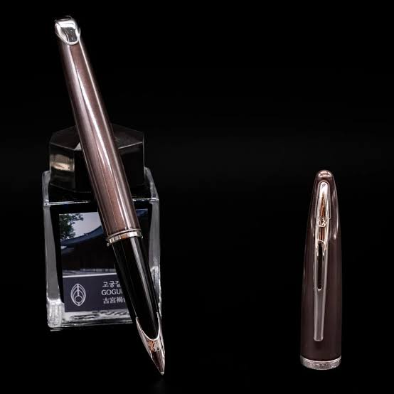 Waterman Carène Fountain Pen – Frosty Brown with Stainless Steel Trim (18K Gold Nib)