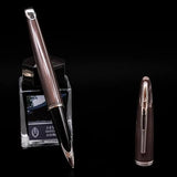 Waterman Carène Fountain Pen – Frosty Brown with Stainless Steel Trim (18K Gold Nib)