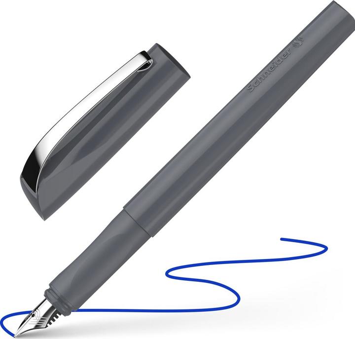 Schneider Ceod Grey Fountain Pen