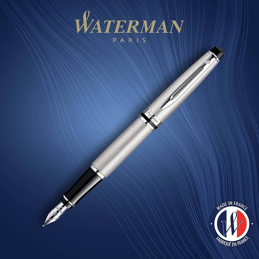 Waterman Expert Stainless Steel CT Fountain Pen – Premium Writing Instrument