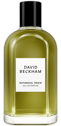 David Beckham Botanical Resin Eau de Parfum – 100ml