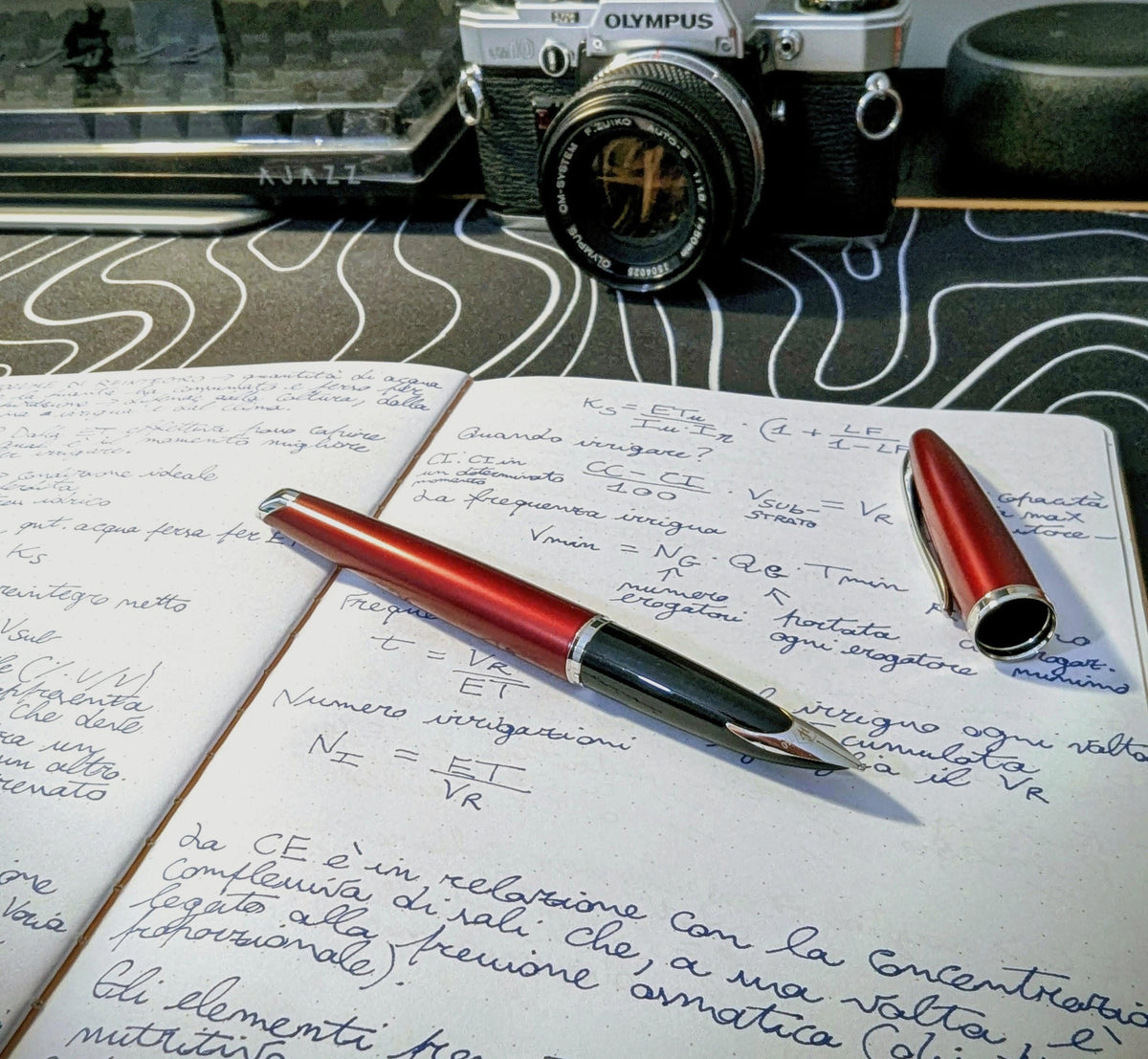 Waterman Carène Fountain Pen – Glossy Garnet Red with Stainless Steel Trim (Medium Nib)