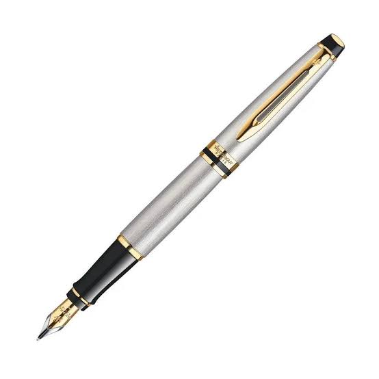 Waterman Expert Fountain Pen – Stainless Steel with Gold Trim