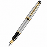 Waterman Expert Fountain Pen – Stainless Steel with Gold Trim