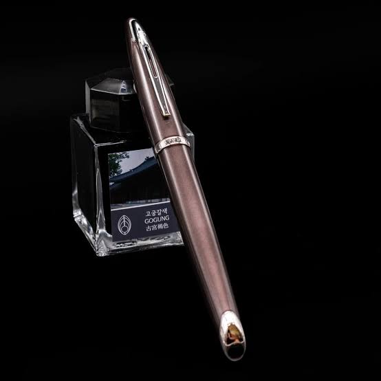 Waterman Carène Fountain Pen – Frosty Brown with Stainless Steel Trim (18K Gold Nib)