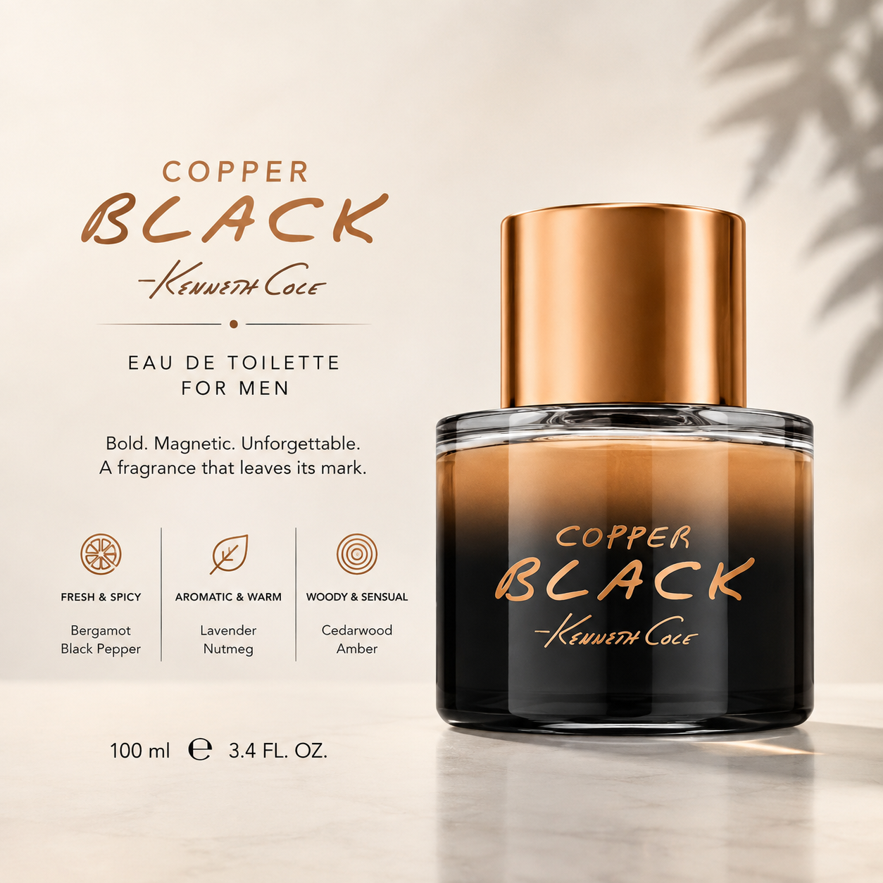 Kenneth Cole Copper Black EDT Spray For Men 100ml