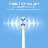 H2OFloss BT-02 Sonic Electric Toothbrush – 5 Modes | USB-C Rechargeable | IPX7 Waterproof