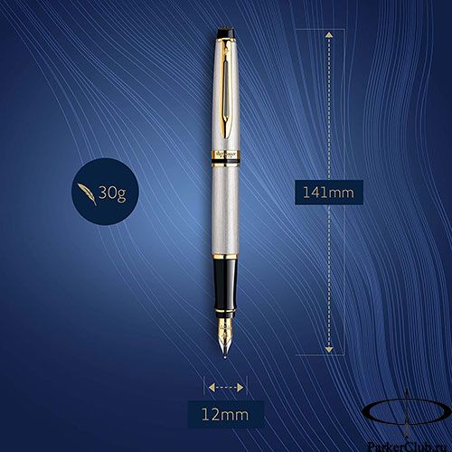 Waterman Expert Stainless Steel GT Fountain Pen – Premium Writing Instrument
