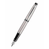 Waterman Expert Stainless Steel CT Fountain Pen – Premium Writing Instrument
