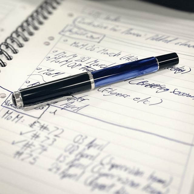 Pelikan Classic M205 Blue-Marbled Fountain Pen